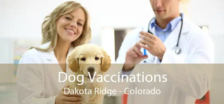 Dog Vaccinations Dakota Ridge - Colorado