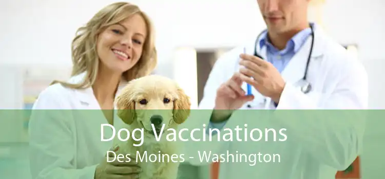 Dog Vaccinations Des Moines - Washington