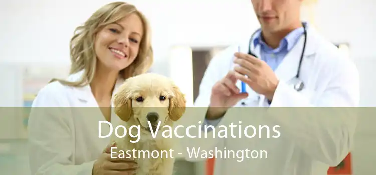 Dog Vaccinations Eastmont - Washington