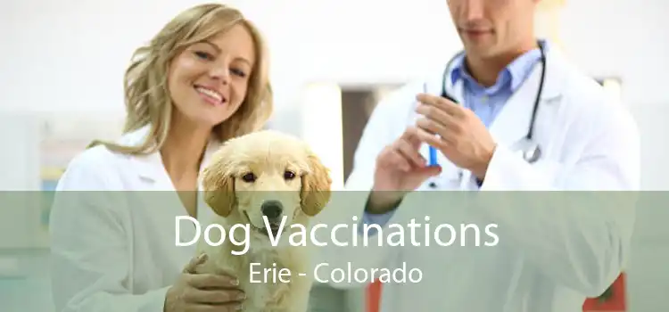 Dog Vaccinations Erie - Colorado