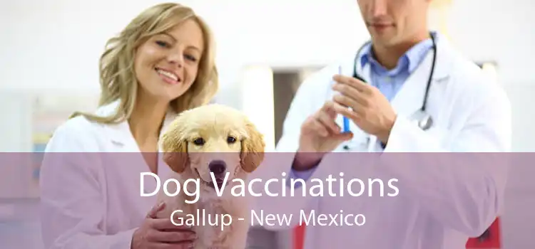 Dog Vaccinations Gallup - New Mexico