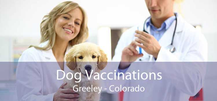 Dog Vaccinations Greeley - Colorado