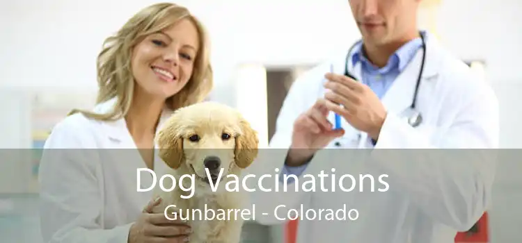 Dog Vaccinations Gunbarrel - Colorado