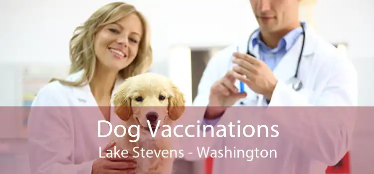 Dog Vaccinations Lake Stevens - Washington