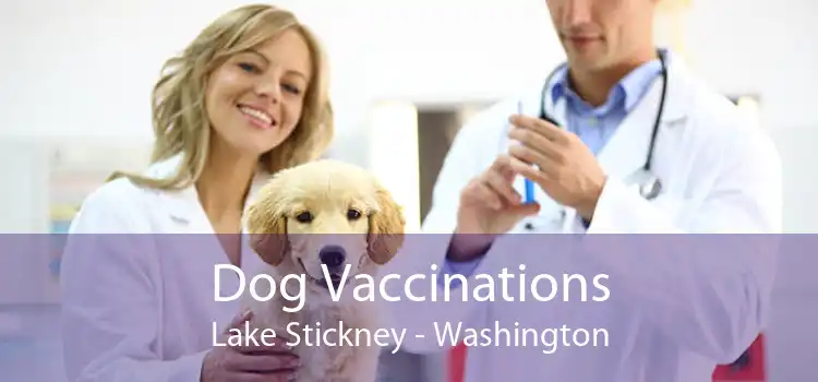 Dog Vaccinations Lake Stickney - Washington