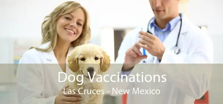 Dog Vaccinations Las Cruces - New Mexico