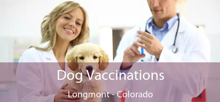 Dog Vaccinations Longmont - Colorado