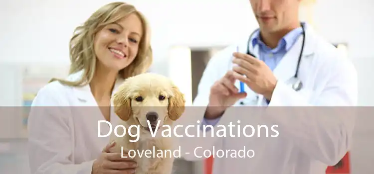 Dog Vaccinations Loveland - Colorado