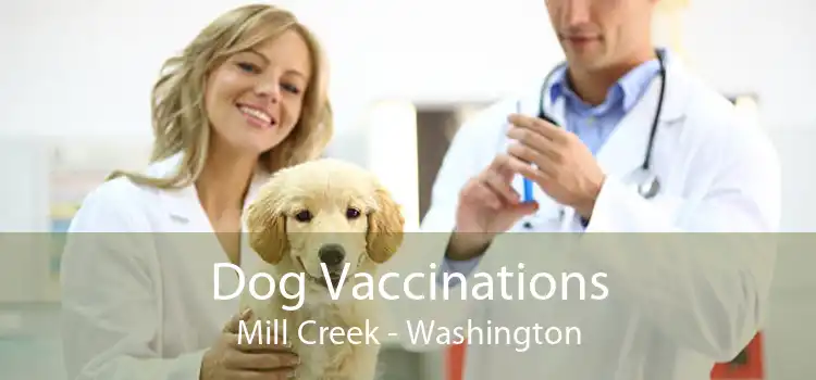Dog Vaccinations Mill Creek - Washington