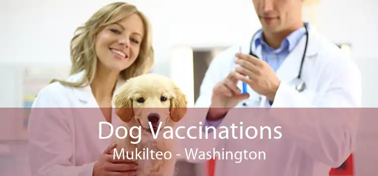 Dog Vaccinations Mukilteo - Washington