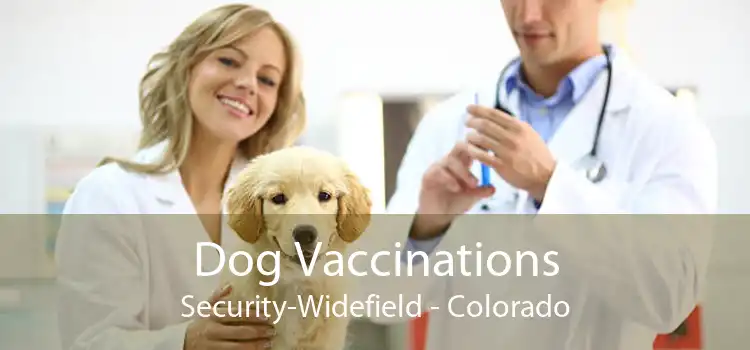 Dog Vaccinations Security-Widefield - Colorado