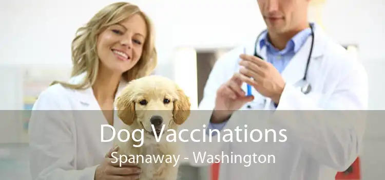 Dog Vaccinations Spanaway - Washington