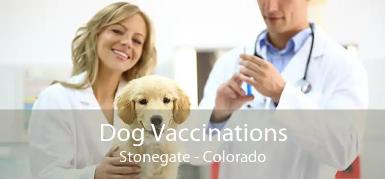 Dog Vaccinations Stonegate - Colorado