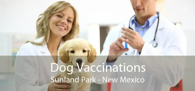 Dog Vaccinations Sunland Park - New Mexico
