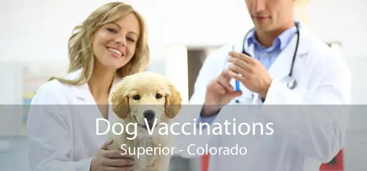 Dog Vaccinations Superior - Colorado