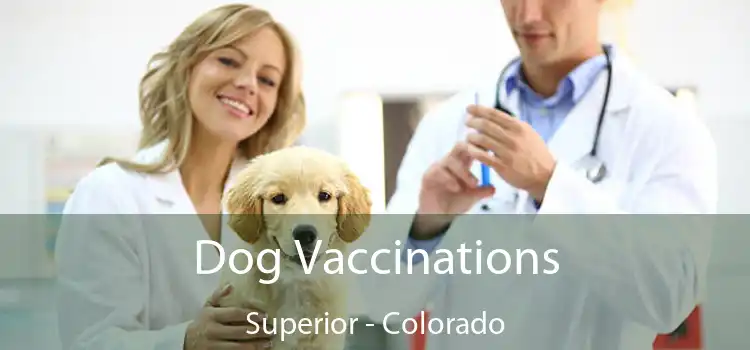 Dog Vaccinations Superior - Colorado