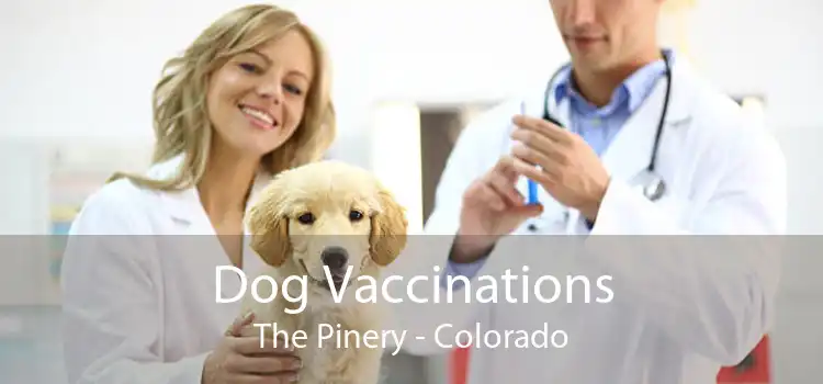 Dog Vaccinations The Pinery - Colorado