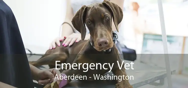 Emergency Vet Aberdeen - Washington