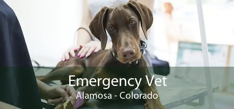 Emergency Vet Alamosa - Colorado