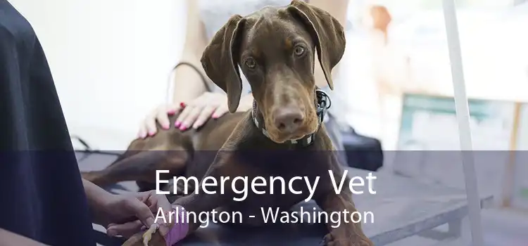 Emergency Vet Arlington - Washington
