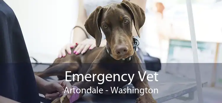 Emergency Vet Artondale - Washington