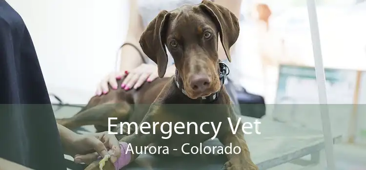 Emergency Vet Aurora - Colorado