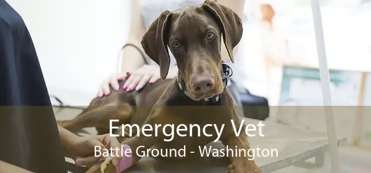 Emergency Vet Battle Ground - Washington
