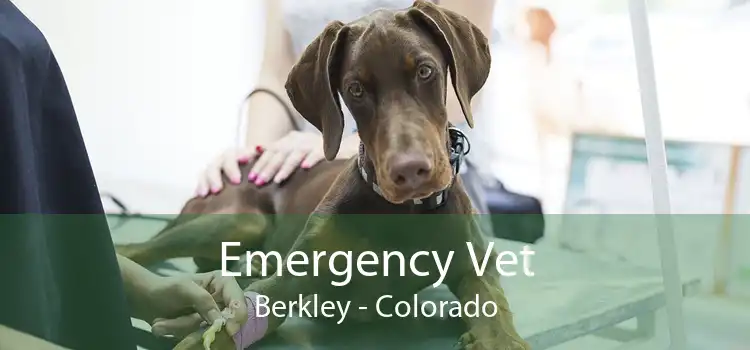 Emergency Vet Berkley - Colorado