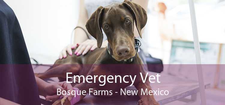 Emergency Vet Bosque Farms - New Mexico