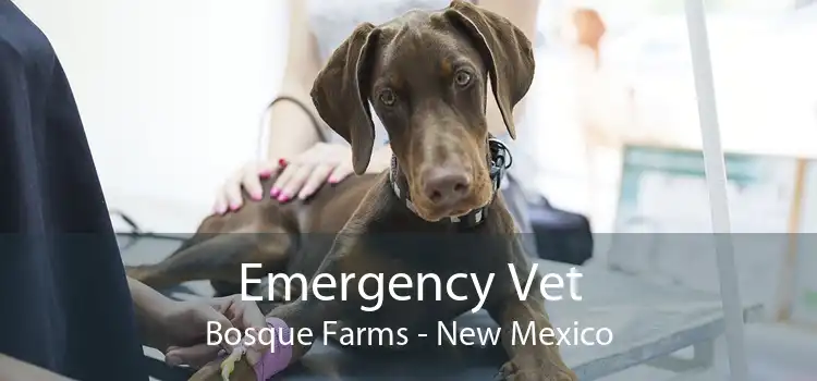 Emergency Vet Bosque Farms - New Mexico