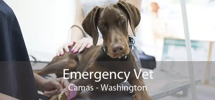 Emergency Vet Camas - Washington