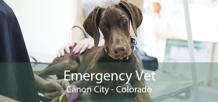Emergency Vet Canon City - Colorado