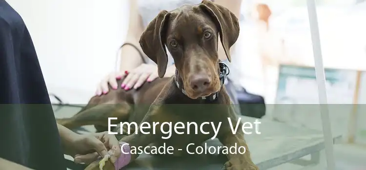 Emergency Vet Cascade - Colorado