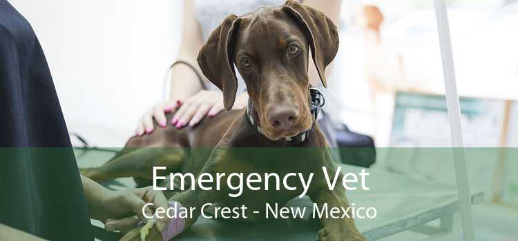 Emergency Vet Cedar Crest - New Mexico