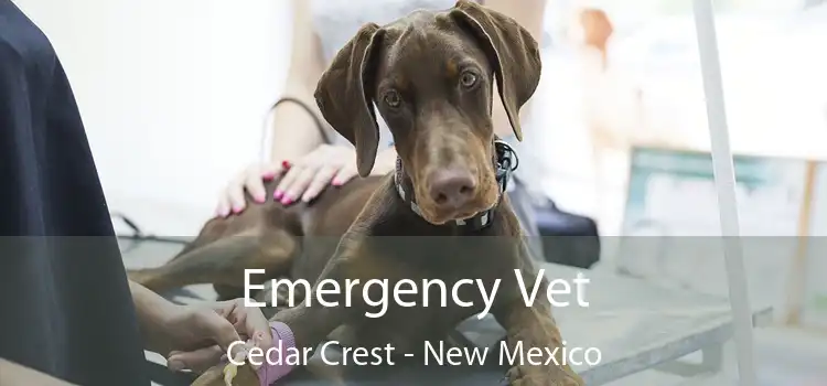 Emergency Vet Cedar Crest - New Mexico