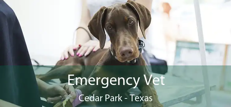 Emergency Vet Cedar Park - Texas