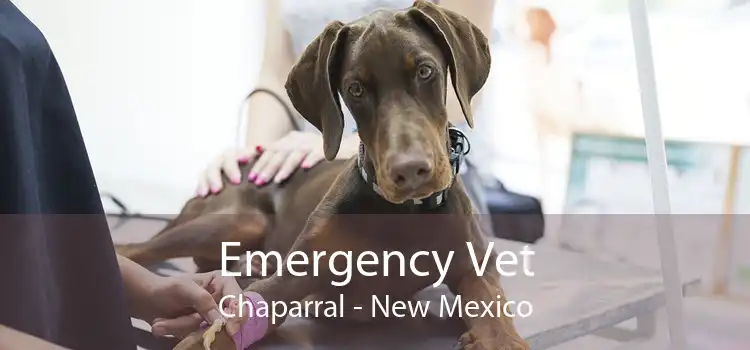 Emergency Vet Chaparral - New Mexico