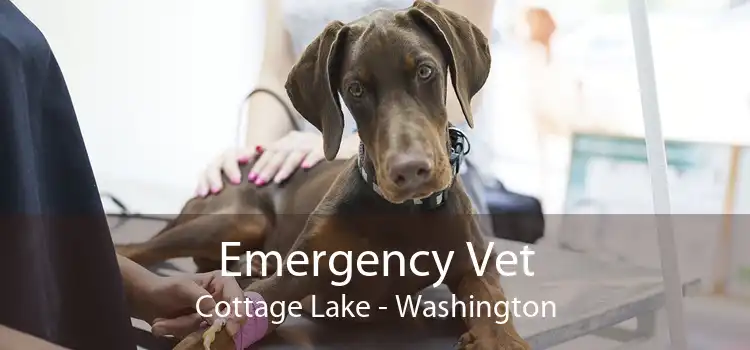 Emergency Vet Cottage Lake - Washington