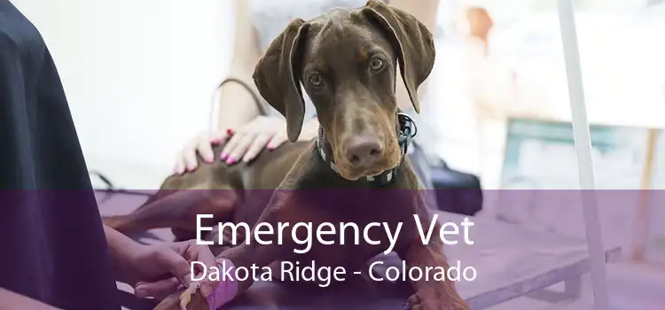 Emergency Vet Dakota Ridge - Colorado