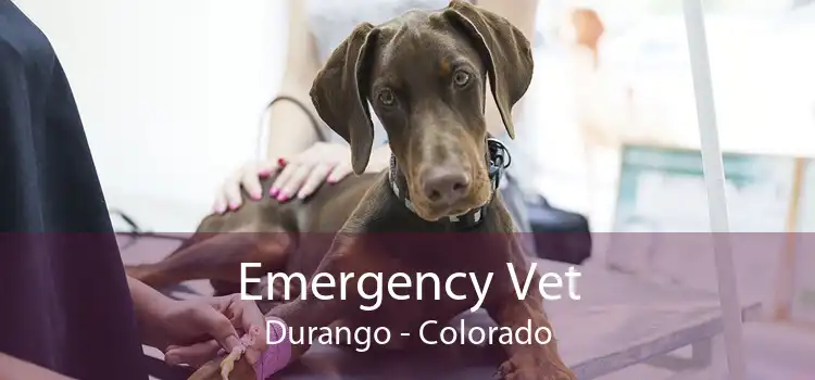 Emergency Vet Durango - Colorado