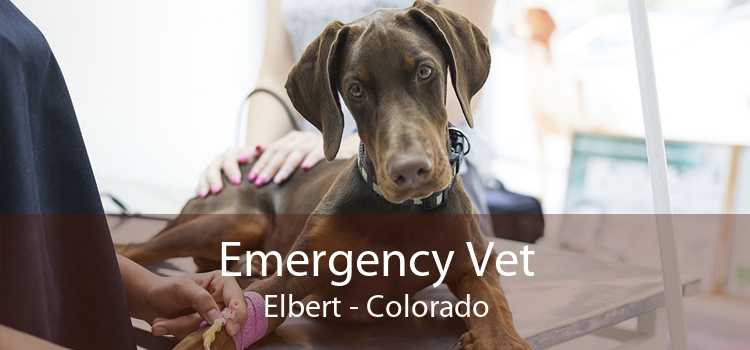 Emergency Vet Elbert - Colorado
