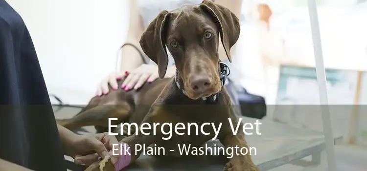 Emergency Vet Elk Plain - Washington