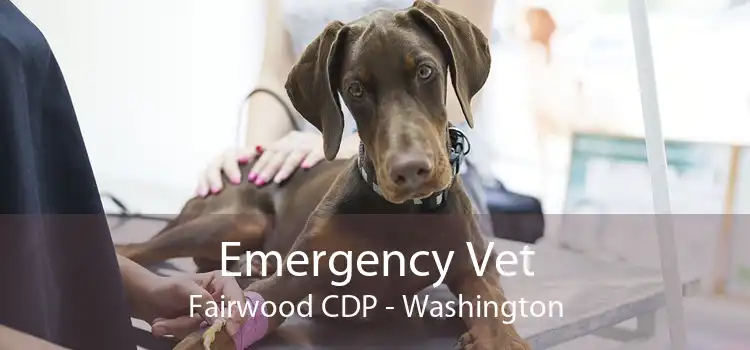Emergency Vet Fairwood CDP - Washington