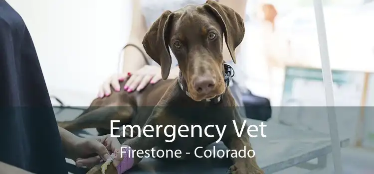 Emergency Vet Firestone - Colorado