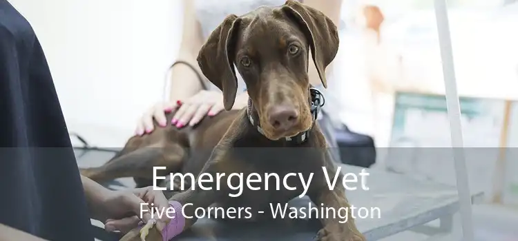 Emergency Vet Five Corners - Washington