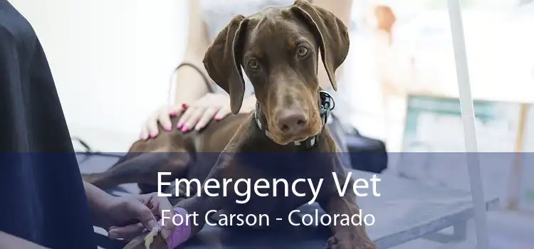 Emergency Vet Fort Carson - Colorado