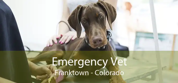 Emergency Vet Franktown - Colorado