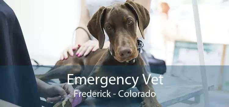 Emergency Vet Frederick - Colorado