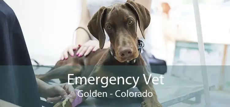 Emergency Vet Golden - Colorado