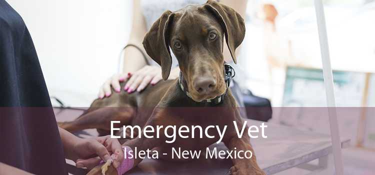 Emergency Vet Isleta - New Mexico